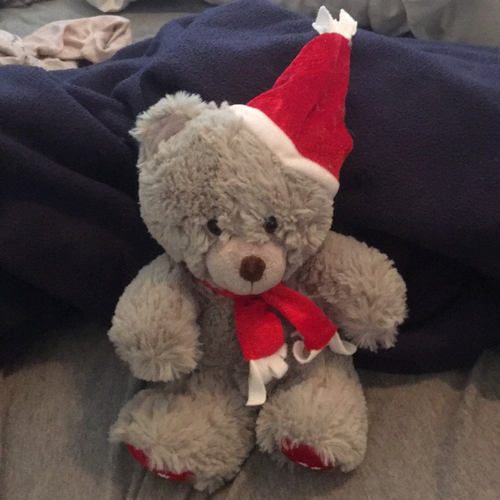 Stuffed bear